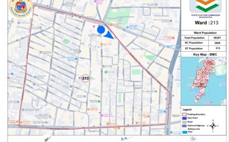 Ward No 213