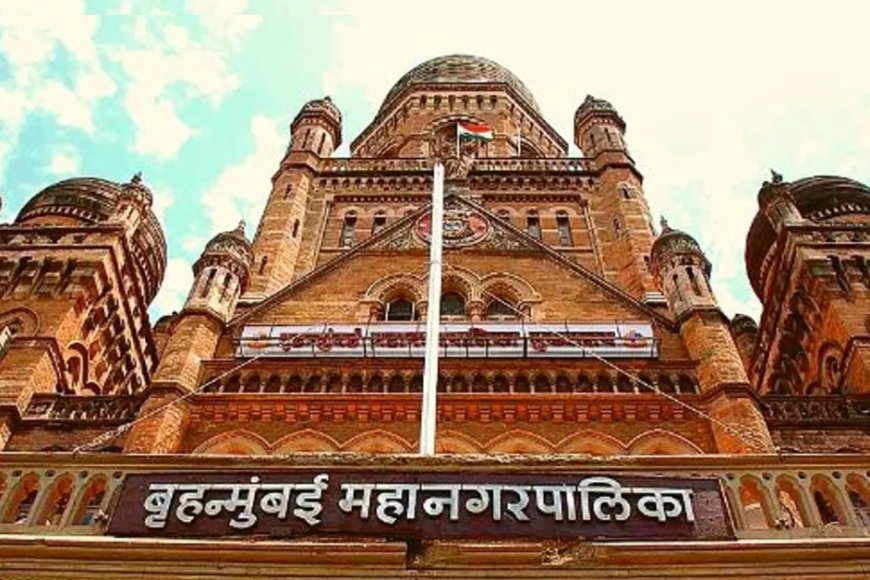 BMC Election