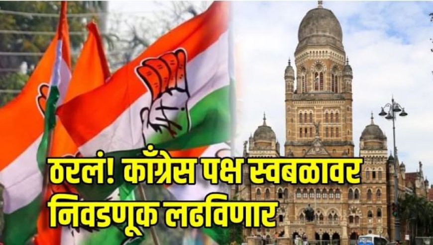 'मविआ’ला तडा! काँग्रेस पक्ष मुंबई महापालिका निवडणूक स्वबळावर लढवणार; प्रभारींची घोषणा